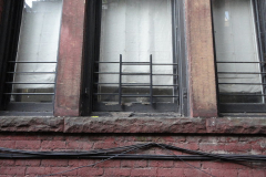 Window Cat